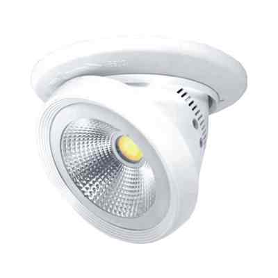LED 100W COB帕燈
